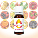 Phlavo Frucht - Frucht Aroma (Diverse Sorten)